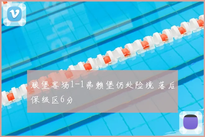狼堡客场1-1弗赖堡仍处险境 落后保级区6分