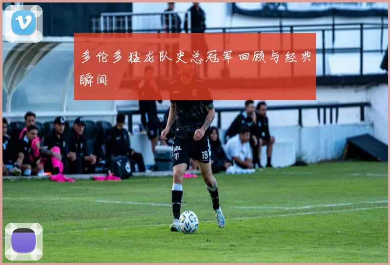 多伦多猛龙队史总冠军回顾与经典瞬间