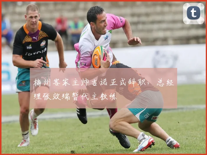 梅州客家主帅吉诺正式辞职,总经理张效瑞暂代主教练